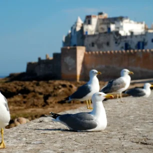 Essaouira
