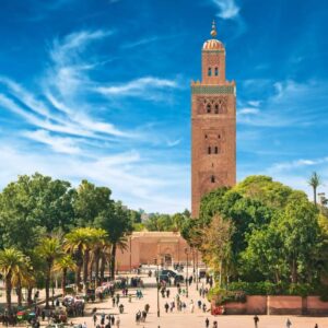 Marrakesh – Palmeraie